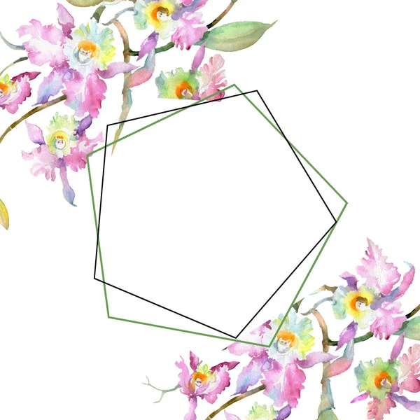 ピンクの蘭の植物の花の花束 野生春葉のワイルドフラワーが分離されました 水彩画背景イラスト セット 水彩描画のファッション Aquarelle 分離します フレーム枠飾りスクエア — ストック写真
