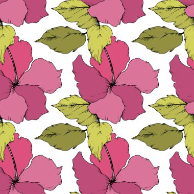 Vektör Hibiscus çiçek botanik çiçek. Egzotik tropik hawaiian yaz. Beyaz arka plan üzerinde oyulmuş mürekkep sanat. Sorunsuz arka plan deseni. Kumaş duvar kağıdı yazdırma doku.