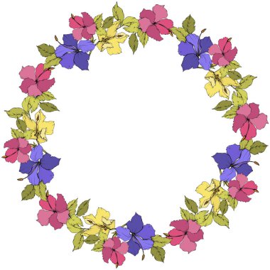 Vektör Hibiscus çiçek botanik çiçek. Egzotik tropik hawaiian yaz. Beyaz arka plan üzerinde oyulmuş mürekkep sanat. Çerçeve kenarlığı süsleme Meydanı.