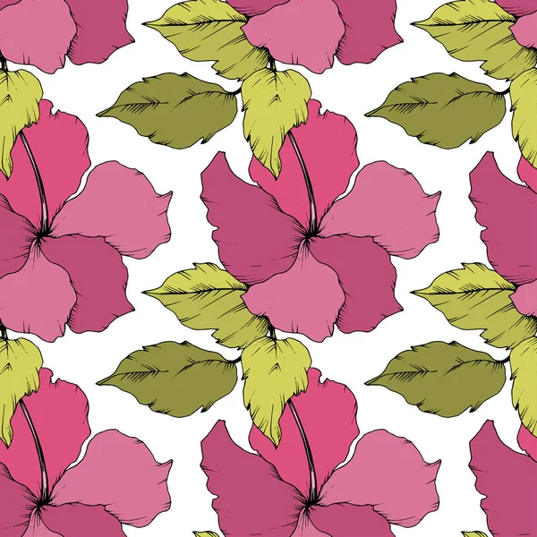 Vector Hibiscus Flor Botánica Floral Verano Hawaiano Tropical Exótico Tinta — Vector de stock