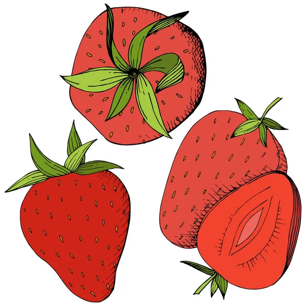 Vector Strawberry Healthy Food Red Green Engraved Ink Art Fresh — Stock Vector