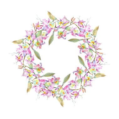 Buket pembe orkide botanik çiçek. Vahşi bahar yaprak izole kır çiçeği. Suluboya arka plan illüstrasyon küme. Suluboya çizim moda aquarelle izole. Çerçeve kenarlığı süsleme Meydanı.