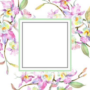 Buket pembe orkide botanik çiçek. Vahşi bahar yaprak izole kır çiçeği. Suluboya arka plan illüstrasyon küme. Suluboya çizim moda aquarelle izole. Çerçeve kenarlığı süsleme Meydanı.
