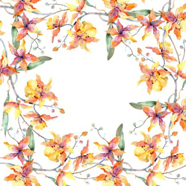 Sarı orkide dalı. Botanik çiçek çiçekler. Vahşi bahar yaprak izole kır çiçeği. Suluboya arka plan illüstrasyon küme. Suluboya çizim moda aquarelle. Çerçeve kenarlığı süsleme Meydanı.