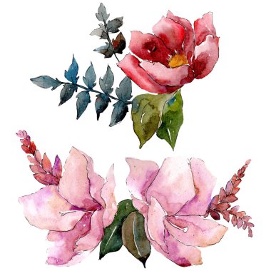 Buket kompozisyon çiçek botanik çiçekler. Vahşi bahar yaprak izole kır çiçeği. Suluboya arka plan ayarlamak. Suluboya çizim moda aquarelle. İzole buket illüstrasyon öğesi.