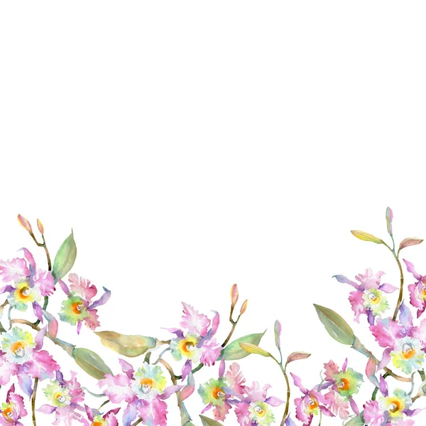 Букет Розовых Ботанических Цветов Орхидеи Дикий Весенний Лист Изолирован Набор — стоковое фото