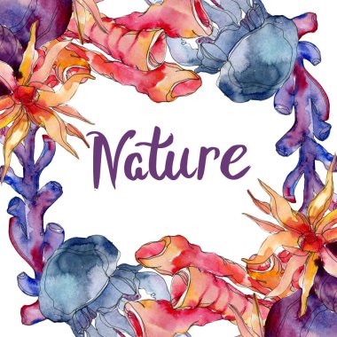 Renkli su doğa mercan kayalığı. Tropikal bitki deniz ve okyanus su hayat öğesi. Suluboya arka plan illüstrasyon küme. Suluboya çizim moda aquarelle. Çerçeve kenarlığı süsleme Meydanı.