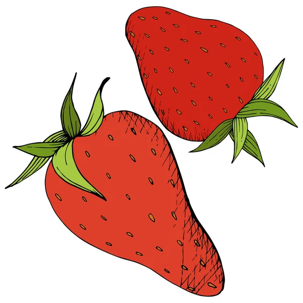 Vector Strawberry healthy food. Red and green engraved ink art. Isolated berry illustration element on white background. — Stock Vector