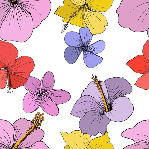 Vector Hibiscus flores tropicales florales. Tinta grabada sobre fondo blanco. Patrón de fondo sin costuras . — Vector de stock