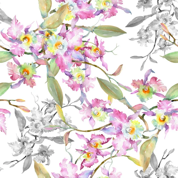 Bukett rosa orkidéer. Blommig botaniska blommor. Akvarell bakgrund illustration set. Sömlös bakgrundsmönster. — Stockfoto