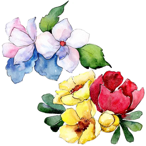 Ramos de flores botánicas florales. Conjunto de ilustración de fondo acuarela. Elemento de ilustración de ramo aislado . — Foto de Stock