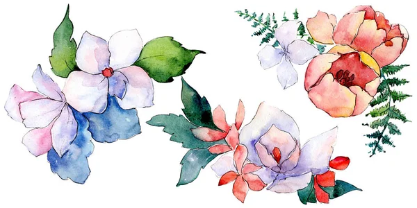 Bouquets fiori botanici floreali. Acquerello sfondo illustrazione set. Elemento di illustrazione bouquet isolato . — Foto Stock