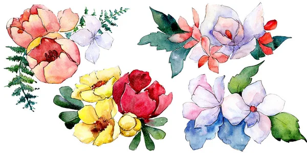 Bouquets fleurs botaniques florales. Ensemble d'illustration de fond aquarelle. Elément d'illustration de bouquet isolé . — Photo