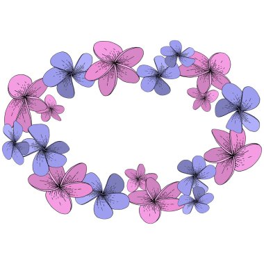 Vektör Hibiscus çiçek tropik çiçekler. Vahşi bahar yaprak izole kır çiçeği. Beyaz arka plan üzerinde oyulmuş mürekkep sanat. Çerçeve kenarlığı süsleme Meydanı.