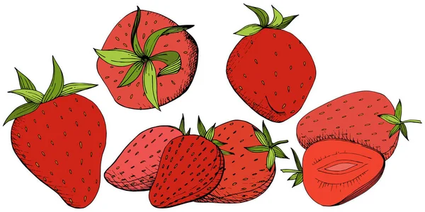 Vector Fraise Alimentation Saine Encre Gravée Rouge Verte Fruits Frais — Image vectorielle