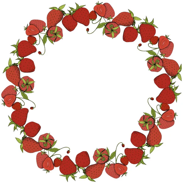 向量草莓新鲜水果健康食品 红色和绿色雕刻水墨艺术 框架边界装饰正方形在白色背景 — 图库矢量图片