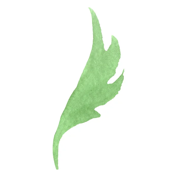 Aster Zöld Levél Vad Tavaszi Levél Vadvirág Akvarell Háttér Illusztráció — Stock Fotó