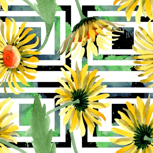 Жовті Ромашкові Ботанічні Квіти Дикий Весняний Лист Дикої Квітки Набір — стокове фото