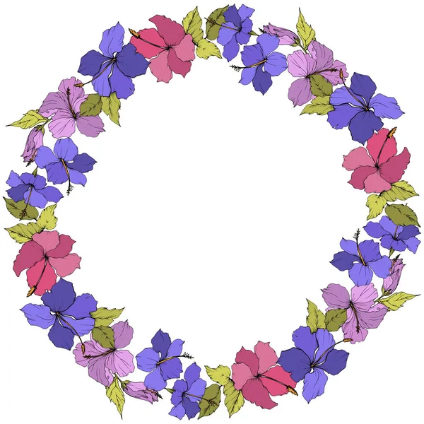 Цветочный Ботанический Цветок Векторного Гибискуса Экзотическое Тропическое Гавайское Лето Гравировка — стоковый вектор