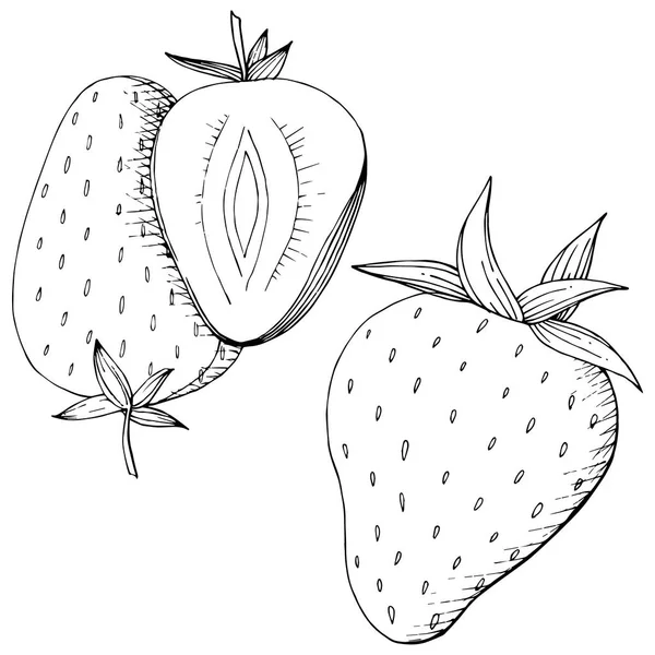 Vector Fraise Alimentation Saine Encre Gravée Noir Blanc Fruits Frais — Image vectorielle