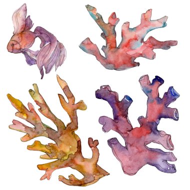 Kırmızı ve sarı su sualtı doğa mercan kayalığı. Suluboya arka plan ayarlamak. Mercan illüstrasyon izole öğesi.