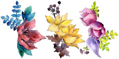 Buket kompozisyon çiçek botanik çiçekler. Suluboya arka plan ayarlamak. İzole buket illüstrasyon öğesi.