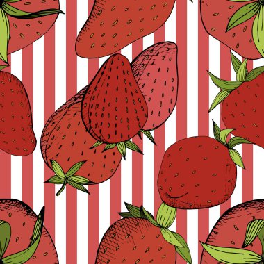 Vektör çilek taze meyve sağlıklı gıda. Kırmızı ve yeşil mürekkep sanat kazınmış. Sorunsuz arka plan deseni.