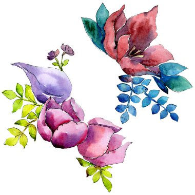 Buket kompozisyon çiçek botanik çiçekler. Suluboya arka plan ayarlamak. İzole buket illüstrasyon öğesi.