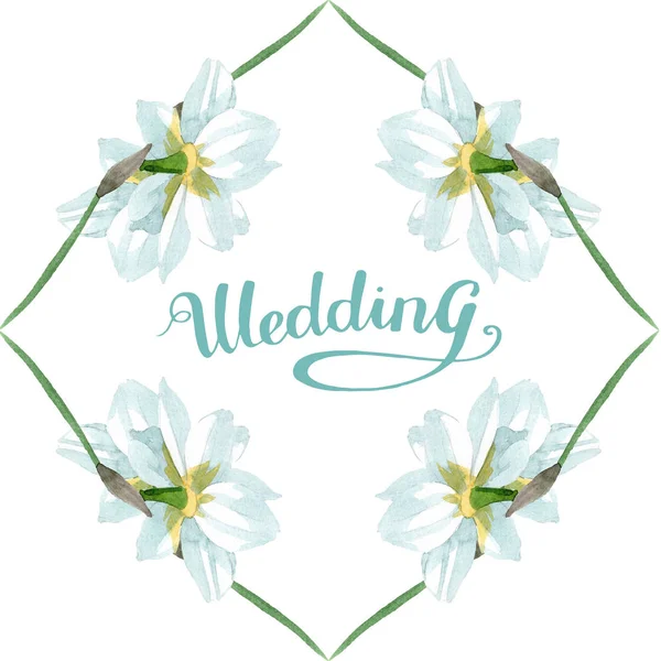 Narciso blanco flor botánica floral. Conjunto de ilustración de fondo acuarela. Marco borde ornamento cuadrado . —  Fotos de Stock