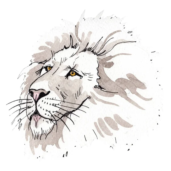 Lion exotique animal sauvage dans un style aquarelle isolé. Ensemble d'illustration de fond aquarelle . — Photo