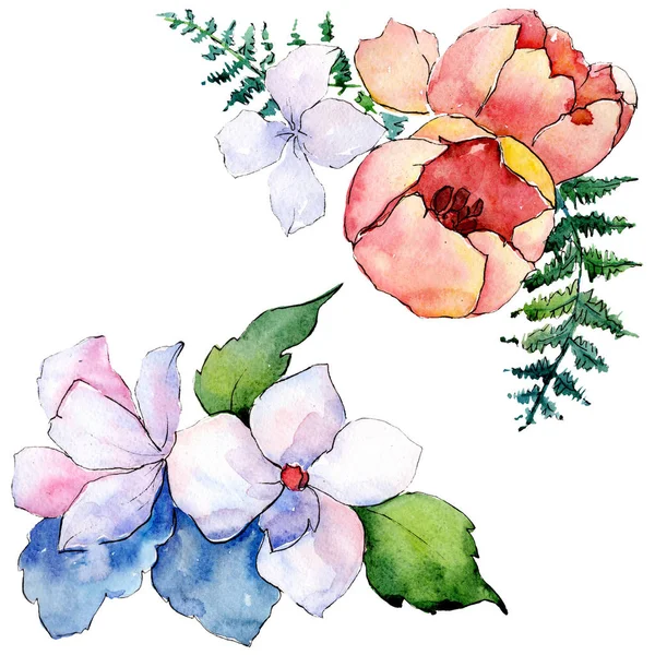 Bouquets fleurs botaniques florales. Ensemble d'illustration de fond aquarelle. Elément d'illustration de bouquet isolé . — Photo