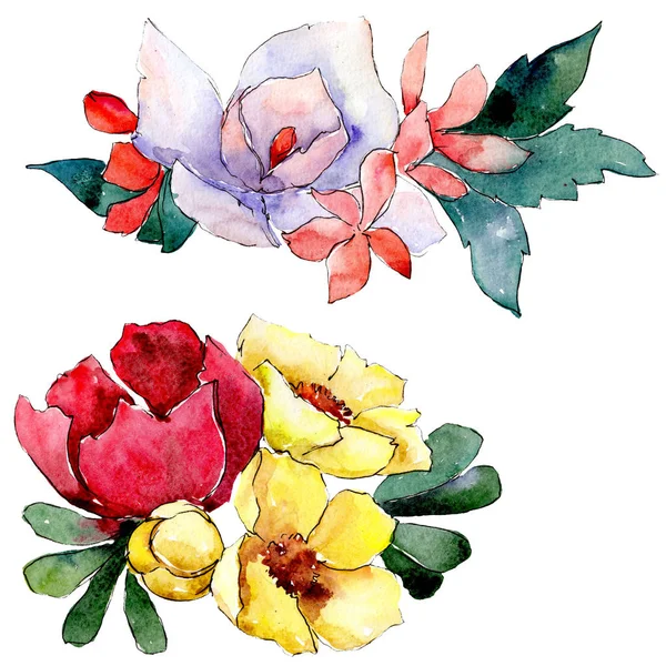 Bouquets fleurs botaniques florales. Ensemble d'illustration de fond aquarelle. Elément d'illustration de bouquet isolé . — Photo