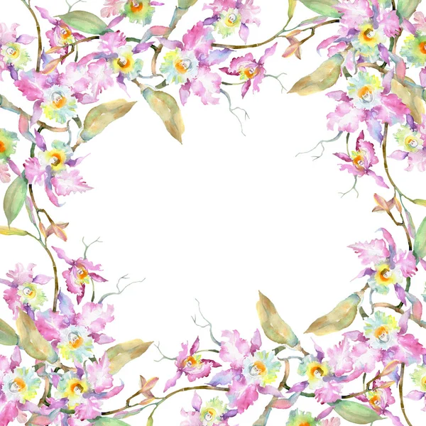 Bouquet di orchidea rosa. Fiori botanici floreali. Acquerello sfondo illustrazione set. Quadrato ornamento bordo cornice . — Foto Stock