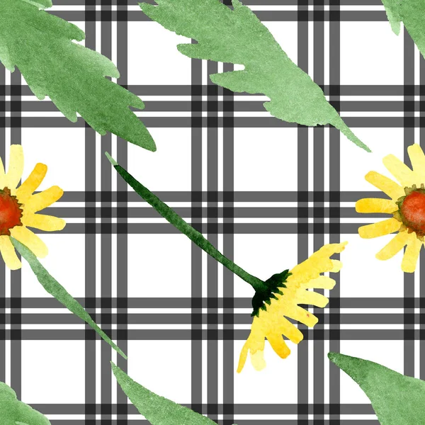 Žluté sedmikrásky květinové botanické květin. Sada akvarel pozadí obrázku. Vzor bezešvé pozadí. — Stock fotografie