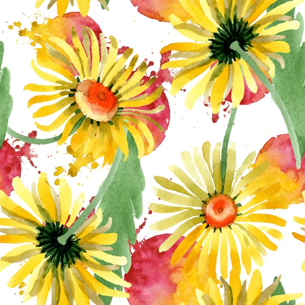Kwiatowy kwiaty botaniczny daisy żółty. Zestaw ilustracji tle akwarela. Bezszwowe tło wzór. — Zdjęcie stockowe