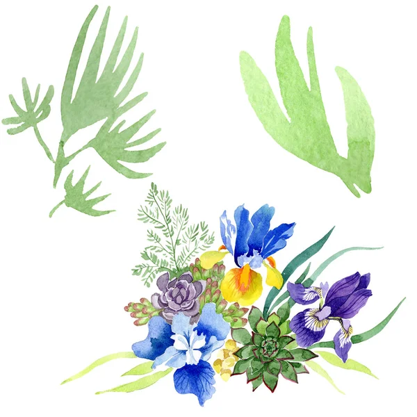 Blå Iris bukett blommor botaniska blommor. Akvarell bakgrunden set. Isolerade bukett illustration element. — Stockfoto