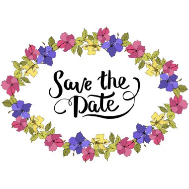 Vektör Hibiscus çiçek botanik çiçek. Oyulmuş mürekkep sanat. Çerçeve kenarlığı süsleme Meydanı.