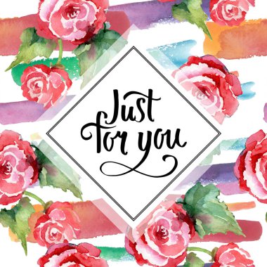 Kırmızı gül buketi çiçek botanik çiçekler. Suluboya arka plan illüstrasyon küme. Çerçeve kenarlığı süsleme Meydanı.