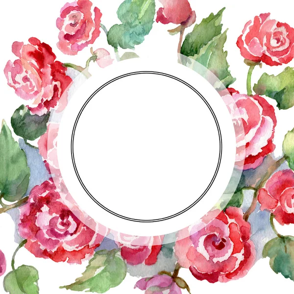 赤いバラの花束花植物の花。水彩画背景イラスト セット。フレーム枠飾りスクエア. — ストック写真