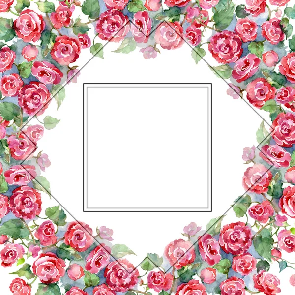 Rosa rossa bouquet fiori botanici floreali. Acquerello sfondo illustrazione set. Quadrato ornamento bordo cornice . — Foto Stock