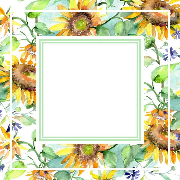 Ανθοδέσμη με ήλιους floral βοτανικό λουλούδια. Ακουαρέλα φόντο εικόνα σύνολο. Πλαίσιο συνόρων στολίδι τετράγωνο. — Φωτογραφία Αρχείου