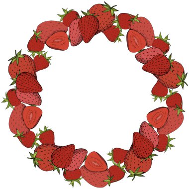Vektör çilek taze meyve sağlıklı gıda. Kırmızı ve yeşil mürekkep sanat kazınmış. Çerçeve kenarlığı süsleme Meydanı.