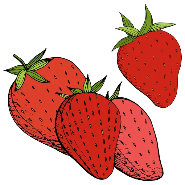 Vector Strawberry healthy food. Red and green engraved ink art. Isolated berry illustration element on white background. — Stock Vector