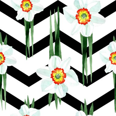 Beyaz nergis botanik çiçek. Suluboya arka plan illüstrasyon küme. Sorunsuz arka plan deseni.