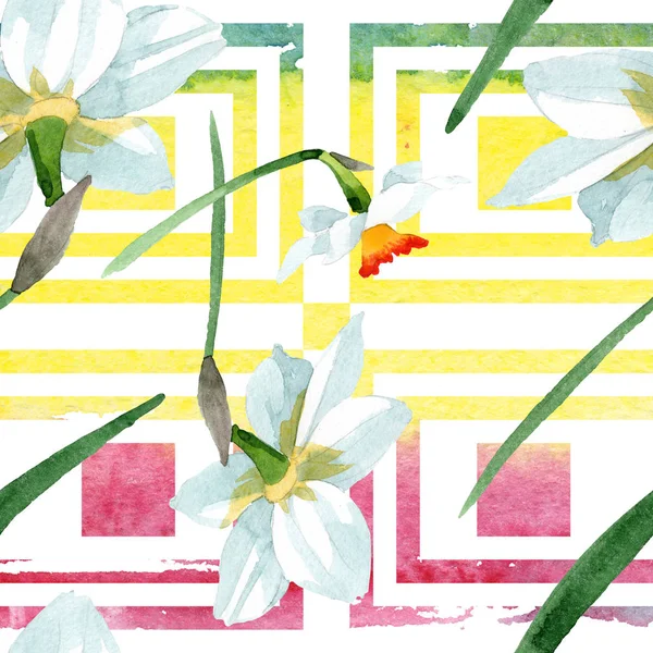 Біла нарцисова квіткова ботанічна квітка. Набір ілюстрацій для акварельного фону. Безшовний візерунок тла . — стокове фото