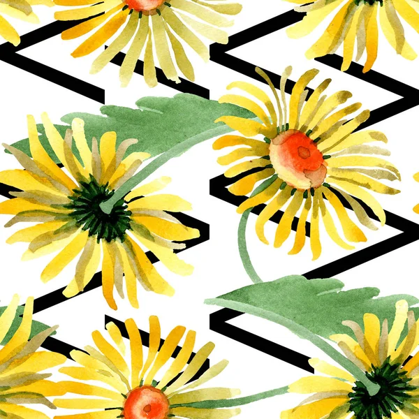 Žluté sedmikrásky květinové botanické květin. Sada akvarel pozadí obrázku. Vzor bezešvé pozadí. — Stock fotografie