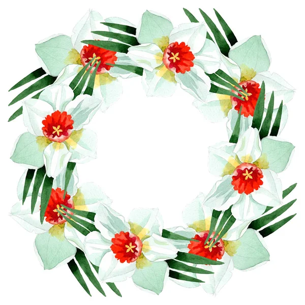 Flor botânica floral narciso branco. Conjunto de ilustração de fundo aquarela. Quadro borda ornamento quadrado . — Fotografia de Stock