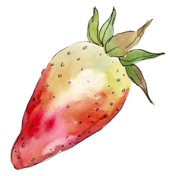 Fraise alimentation saine dans un style aquarelle isolé. Ensemble de fond aquarelle. Élément d'illustration de baies isolé . — Photo