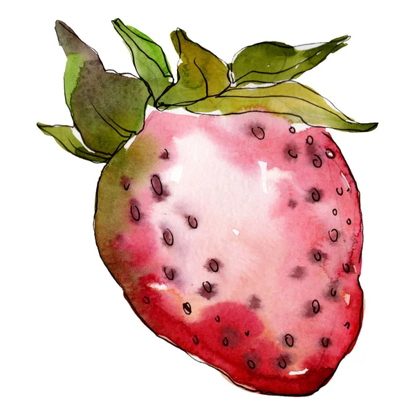 Jordbærfrisk mat isolert i akvarellfarge. Vannfarget bakgrunnssett. Isolert bærillustrasjonselement . – stockfoto