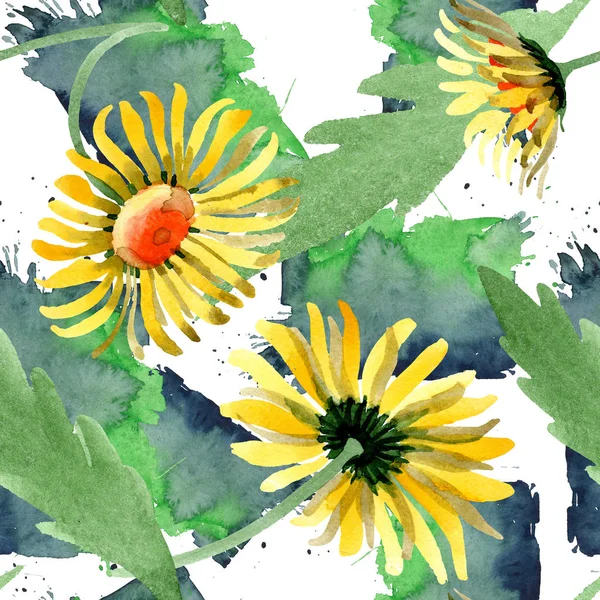 Kwiatowy kwiaty botaniczny daisy żółty. Zestaw ilustracji tle akwarela. Bezszwowe tło wzór. — Zdjęcie stockowe